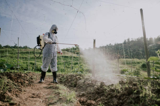 Best Best Pest Control Companies  in Carbon Hill, AL