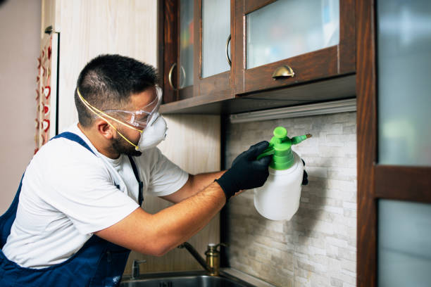 Best Pest Control for Homes  in Carbon Hill, AL