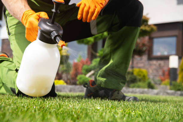 Best Rat Extermination Near Me  in Carbon Hill, AL