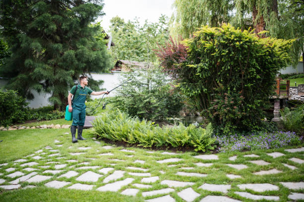 Best Mosquito Control Services  in Carbon Hill, AL