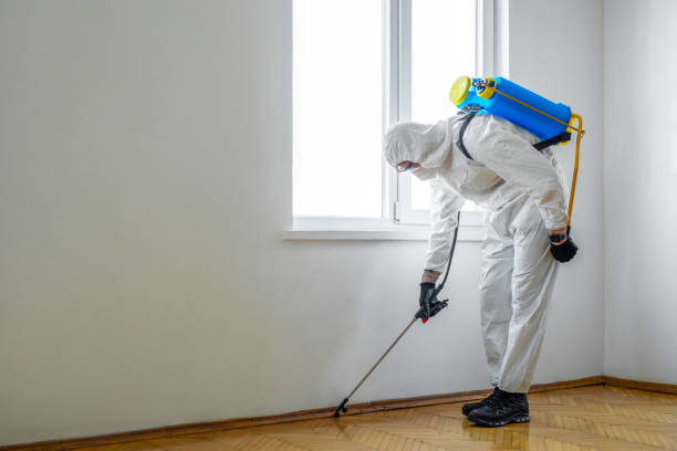 Best Emergency Pest Control  in Carbon Hill, AL