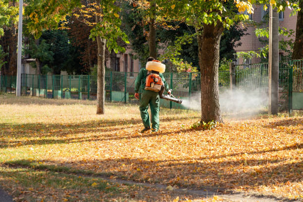 Best Emergency Pest Control  in Carbon Hill, AL