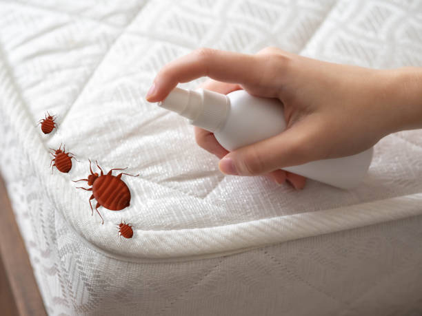 Best Pest Removal Services  in Carbon Hill, AL