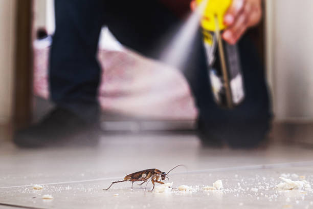 Best Affordable Pest Control Services  in Carbon Hill, AL