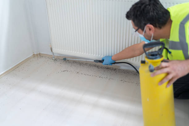 Best Insect Control  in Carbon Hill, AL