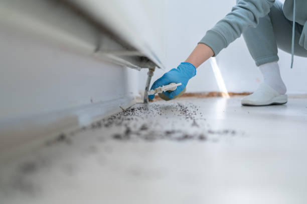 Best Insect Control  in Carbon Hill, AL