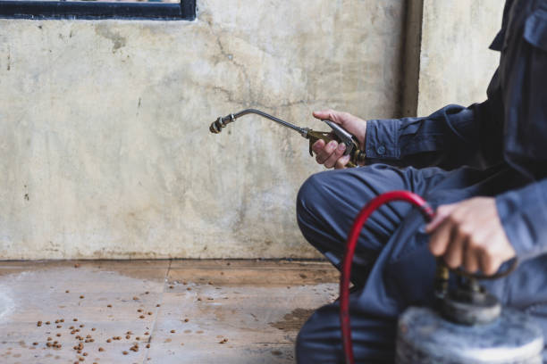 Best Commercial Pest Control Services  in Carbon Hill, AL